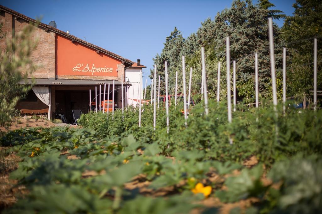 L'Alpenice Bioagriturismo Villa Savignano sul Panaro Exterior photo