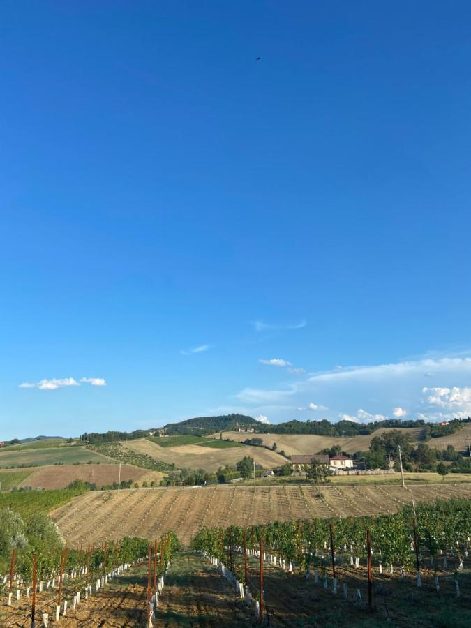 L'Alpenice Bioagriturismo Villa Savignano sul Panaro Exterior photo